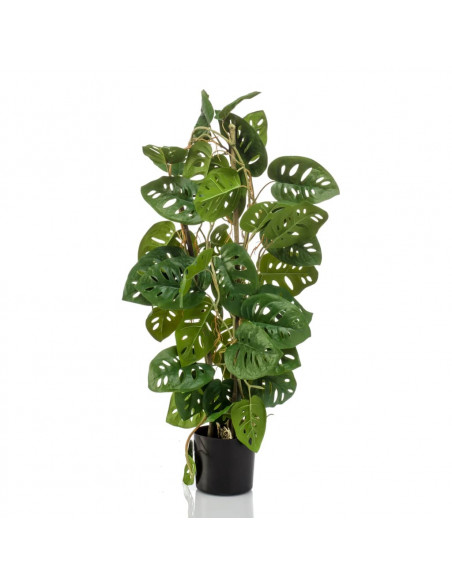 Emerald Monstera Adansonii Artificiale 75 cm in Vaso