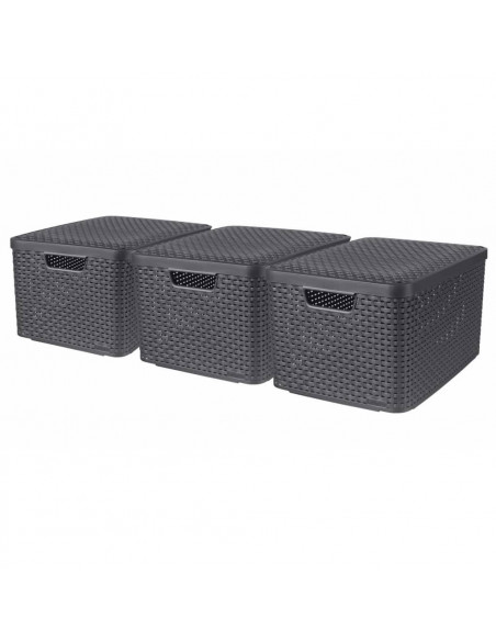Curver Scatole con Coperchio Style 3 pz Misura L Antracite