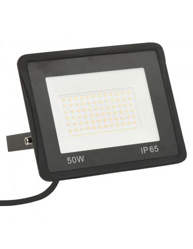 Faretto a LED 50 W Bianco Freddo