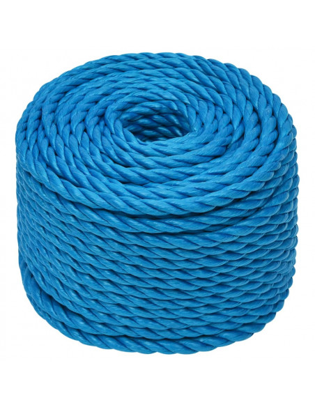 Corda da Lavoro Blu 12 mm 25 m in Polipropilene