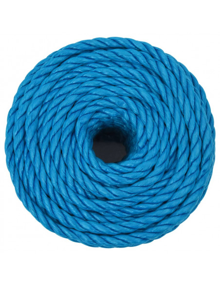 Corda da Lavoro Blu 12 mm 25 m in Polipropilene