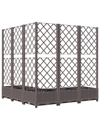 Fioriera da Giardino e Graticcio Marrone 120x120x121,5 cm in PP