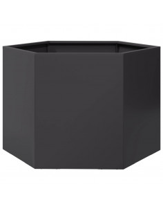 Fioriera da Giardino Nera Esagono 69x60x45 cm in Acciaio 2
