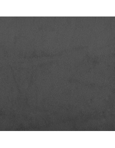 Divano Letto a 2 Posti con 2 Cuscini Grigio Scuro in Velluto