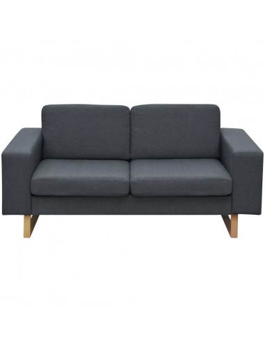 Divano a 2 Posti in Tessuto Grigio Scuro