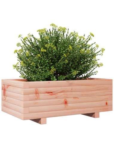 Fioriera da Giardino 70x40x26,5 cm in Legno Massello di Douglas