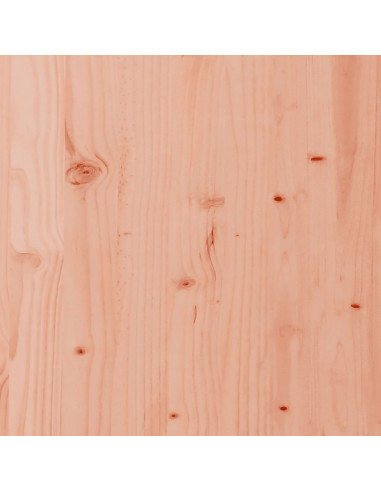 Fioriere da Giardino 2 pz in Legno Massello di Douglas