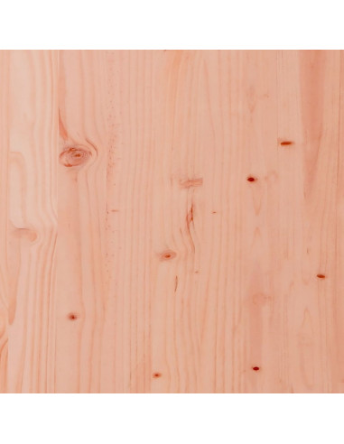 Fioriere da Giardino 2 pz in Legno Massello di Douglas