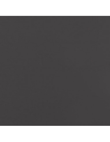 Fioriere da Giardino 2 pz Nere 35x35x75 cm in Acciaio