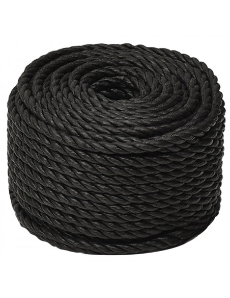 Corda da Lavoro Nera 10 mm 25 m in Polipropilene