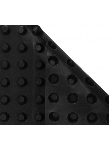 Foglio di Drenaggio in HDPE 400 g/m² 0,5x20 m