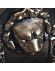 Fontana a Muro Design a Testa di Leone Bronzo