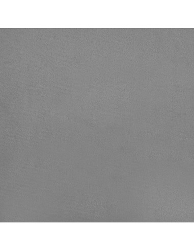 Divano Letto a 2 Posti con 2 Cuscini Grigio Chiaro in Velluto