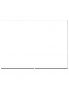 Gabbia per Cani Argento 12 m² in Acciaio