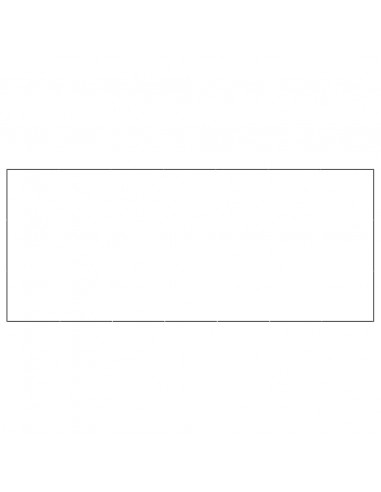 Gabbia per Cani Nera 21 m² in Acciaio