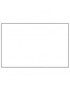 Gabbia per Cani Nera 6 m² in Acciaio