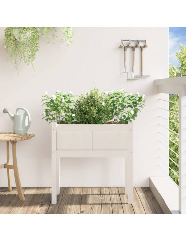 Fioriera da Giardino con Gambe Bianca 70x31x70 cm Massello Pino