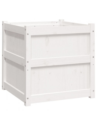 Fioriera da Giardino Bianca 60x60x60 cm Legno Massello di Pino