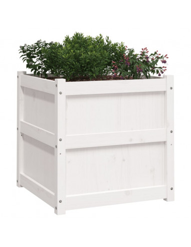 Fioriera da Giardino Bianca 60x60x60 cm Legno Massello di Pino