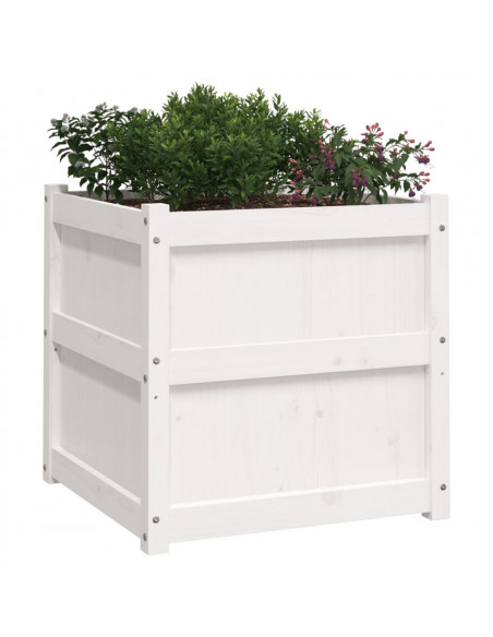Fioriera da Giardino Bianca 60x60x60 cm Legno Massello di Pino