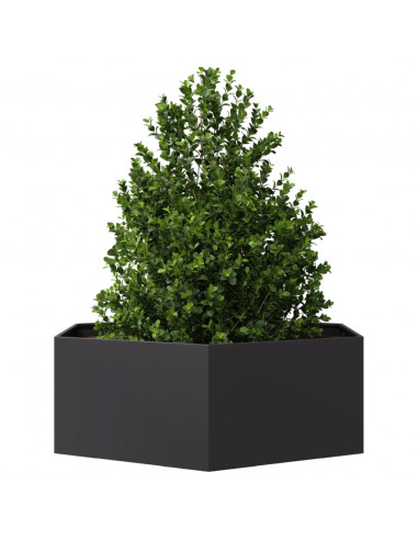 Fioriera da Giardino Nera Esagono 138x120x45 cm in Acciaio