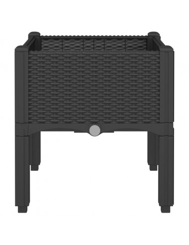 Fioriera da Giardino con Gambe Nera 40x40x42 cm in PP