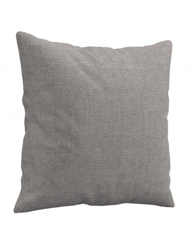Cuscini Decorativi 2 pz Grigio Chiaro 40x40 cm in Tessuto