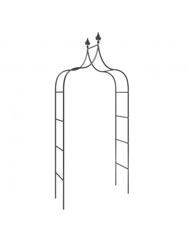 Archi da Giardino 2 pz Neri 120x38x260 cm Acciaio