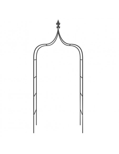 Archi da Giardino 2 pz Neri 120x38x260 cm Acciaio