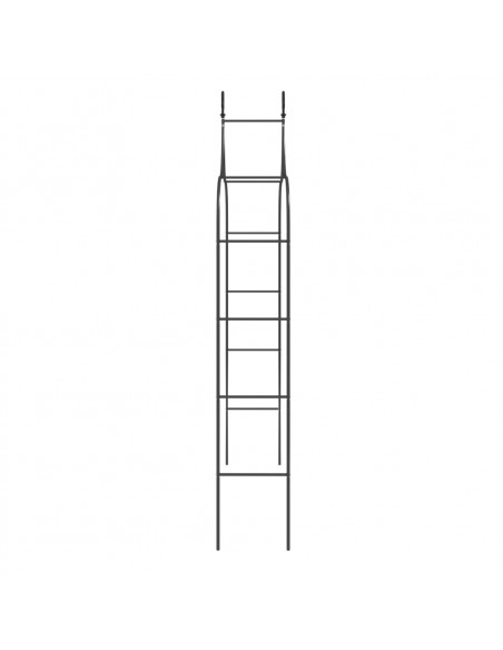 Archi da Giardino 2 pz Neri 120x38x260 cm Acciaio