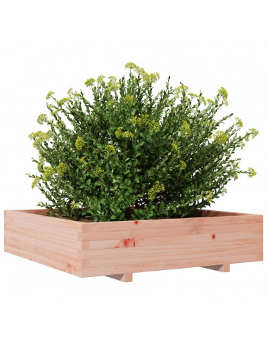 Fioriera da Giardino 100x100x26,5 cm Legno Massello di Douglas