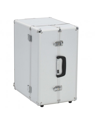 Valigia Trolley Pilota 47x39x27 cm in Alluminio Argento