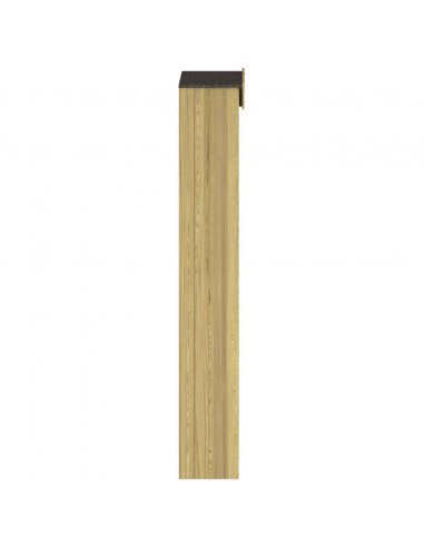 Capanno per Attrezzi da Giardino 87x33x222cm in Pino Impregnato