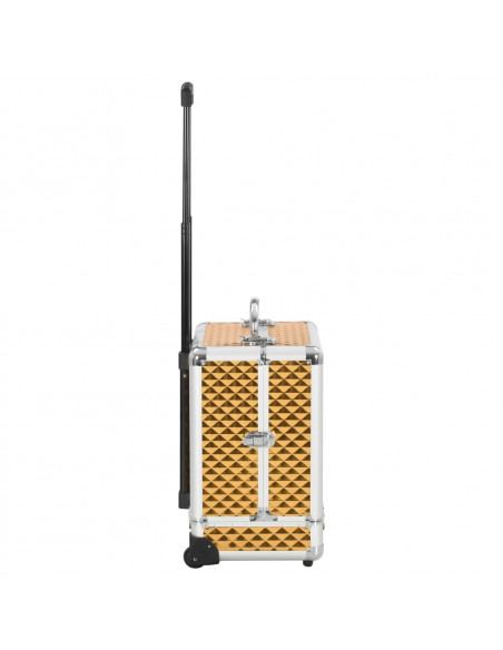 Valigia Trolley per Cosmetici 35x29x45 cm Oro in Alluminio