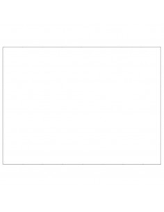 Gabbia per Cani Argento 48 m² in Acciaio