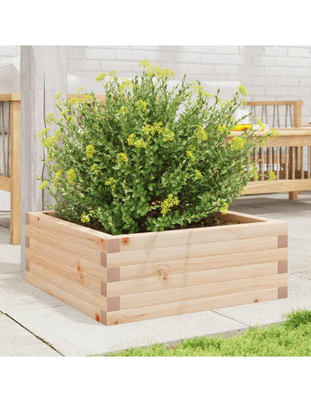 Fioriera da Giardino 60x60x23 cm in Legno Massello di Pino