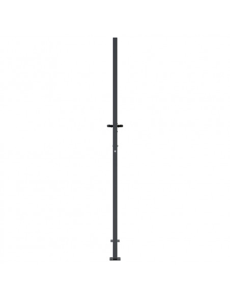Cancello Giardino Antracite 105x205 cm in Acciaio Design Erba