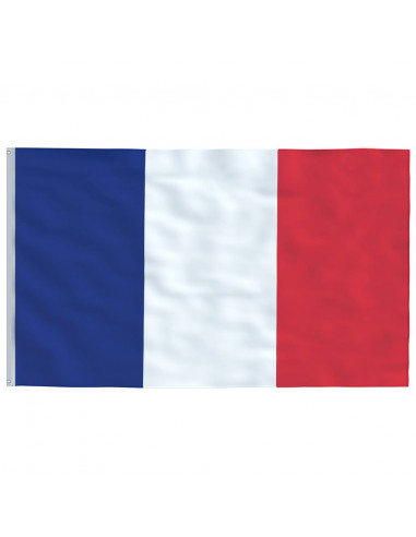 Asta e Bandiera Francia 5,55 m Alluminio