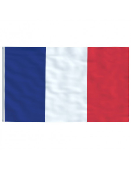 Asta e Bandiera Francia 5,55 m Alluminio