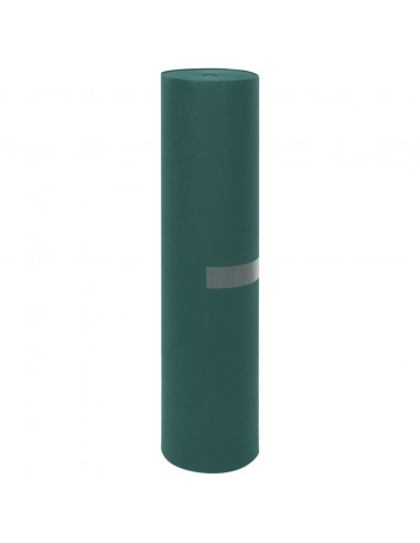 Copertura per Piante 2 Rotoli 70 g/m² 50x1,6 m