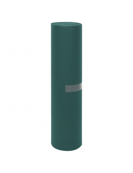 Copertura per Piante 2 Rotoli 70 g/m² 50x1,6 m