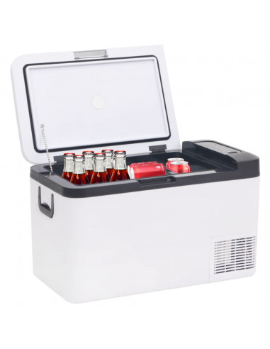 Borsa Frigo con Manico Nera e Bianca 25 L in PP e PE