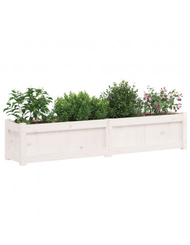 Fioriera da Giardino Bianca 150x31x31 cm Legno Massello di Pino