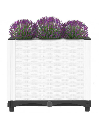 Fioriera Rialzata 40x40x38 cm in Polipropilene