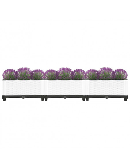 Fioriera Rialzata 120x40x23 cm in Polipropilene