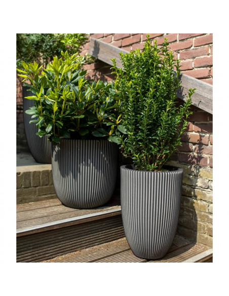Capi Fioriera Groove 35x34 cm Antracite