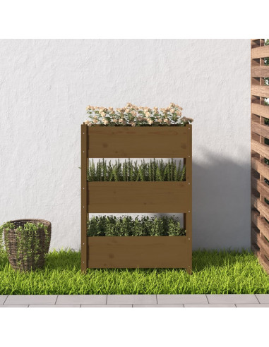 Fioriera Miele 77x25x104,5 cm in Legno Massello di Pino