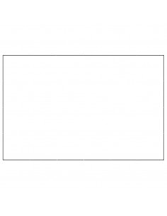 Gabbia per Cani Nera 24 m² in Acciaio