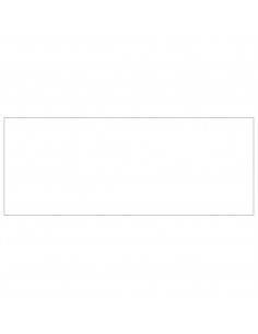 Gabbia per Cani Argento 40 m² in Acciaio