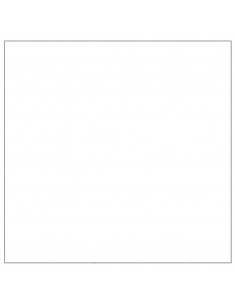 Gabbia per Cani Argento 25 m² in Acciaio